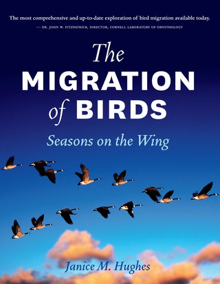 Titelbild: The Migration of Birds