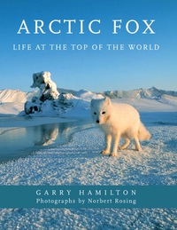 Cover image: Arctic Fox