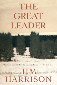 Cover image: The Great Leader 9781770890367
