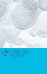 Cover image: The Polymers special hardcover edition 9781770892170