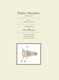 Cover image: Little Theatres 9781770892873