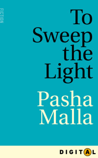 صورة الغلاف: To Sweep the Light 9781770894297