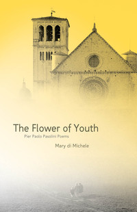 Cover image: The Flower of Youth 9781770410480