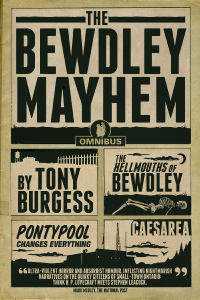 Imagen de portada: The Bewdley Mayhem 9781770412163