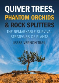 Cover image: Quiver Trees, Phantom Orchids & Rock Splitters 9781770412088