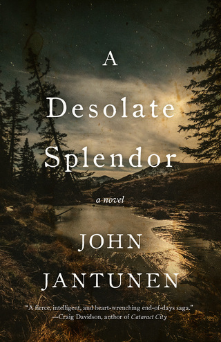 Imagen de portada: A Desolate Splendor 9781770412040