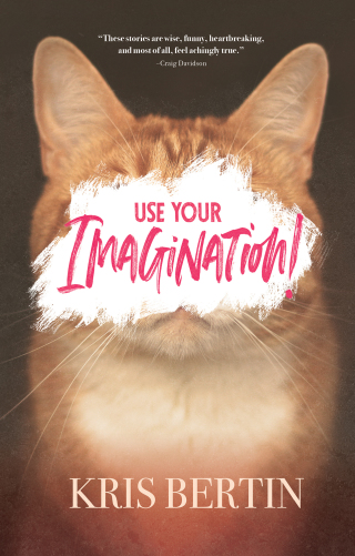 Cover image: Use Your Imagination 9781771087520