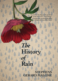 صورة الغلاف: The History of Rain 9781771089791