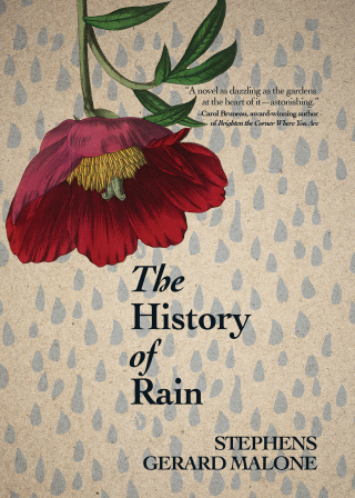 Cover image: The History of Rain 9781771089791