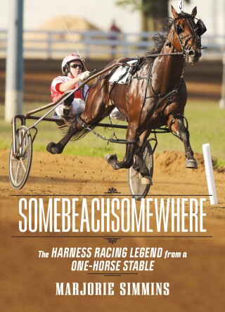 Imagen de portada: Somebeachsomewhere 9781771089326