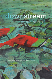 Cover image: downstream 9781771122139