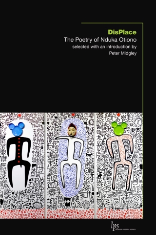 Cover image: DisPlace 9781771125383