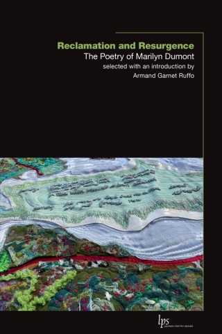 Cover image: Reclamation and Resurgence 9781771126090