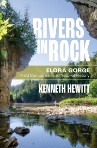 Cover image: Rivers in Rock 9781771125802