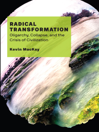 Imagen de portada: Radical Transformation 1st edition 9781771132602