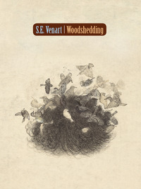 Immagine di copertina: Woodshedding 1st edition 9781894078610