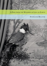 Imagen de portada: A Page from the Wonders of Life on Earth 1st edition 9781926829708