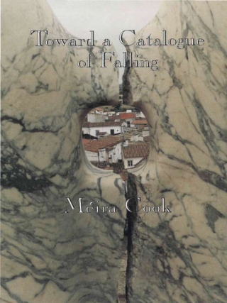 表紙画像: Toward a Catalogue of Falling 1st edition 9780919626881