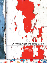 Cover image: A Walker in the City 1st edition 9781926829722