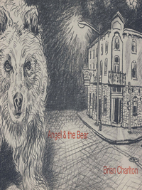 表紙画像: Angel and the Bear 1st edition 9780919626133
