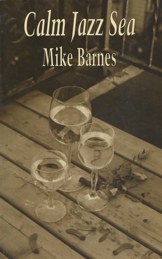 Cover image: Calm Jazz Sea 1st edition 9780919626850