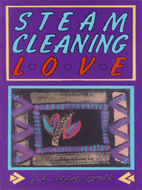 表紙画像: Steam-Cleaning Love 1st edition 9780919626683