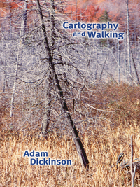 Cover image: Cartography and Walking 1st edition 9781894078221