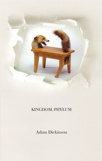Omslagafbeelding: Kingdom, Phylum 1st edition 9781894078542