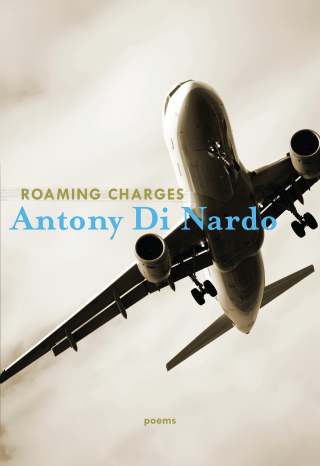 Cover image: Roaming Charges 1st edition 9781771313483