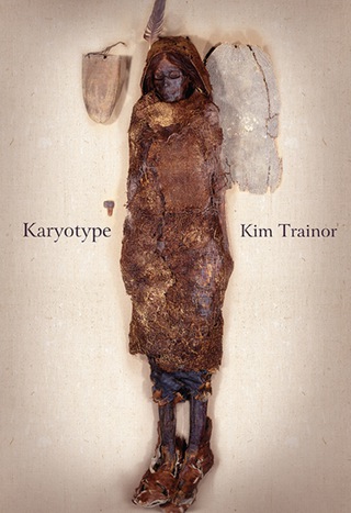 Imagen de portada: Karyotype 1st edition 9781771313797