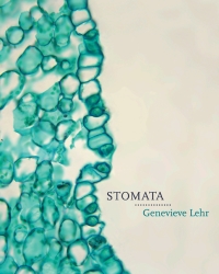 Titelbild: Stomata 1st edition 9781771314480
