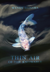 Imagen de portada: Thin Air of the Knowable 9781771314602