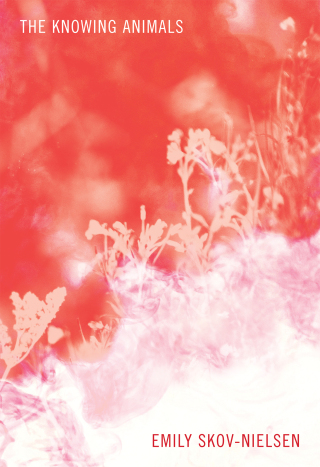 Cover image: The Knowing Animals 9781771315333