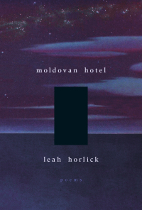 Cover image: Moldovan Hotel 9781771315456
