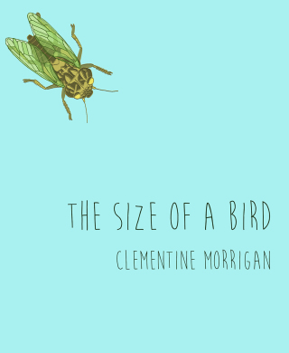 Cover image: The Size of a Bird 9781771334570