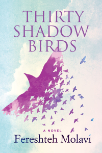 Titelbild: Thirty Shadow Birds 9781771336536