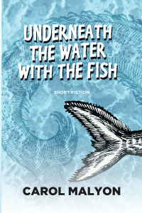 Cover image: Underneath the Water with the Fish 9781771337496