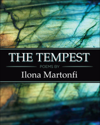 Cover image: The Tempest 9781771339063