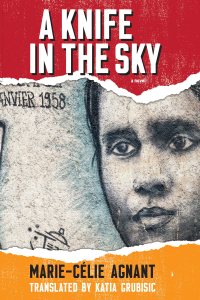 Cover image: A Knife in the Sky 9781771339186