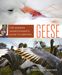 Cover image: The Modern Homesteader's Guide to Keeping Geese 9780865718616
