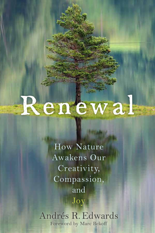 Cover image: Renewal 9780865718807