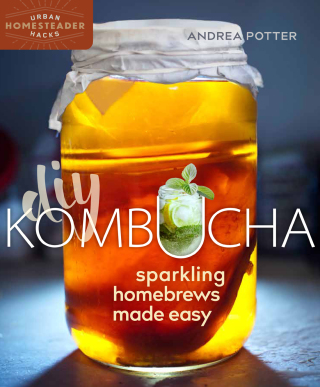 Immagine di copertina: DIY Kombucha 9780865718876