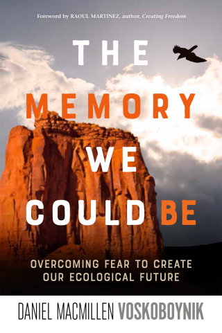 Cover image: The Memory We Could Be 9780865718999
