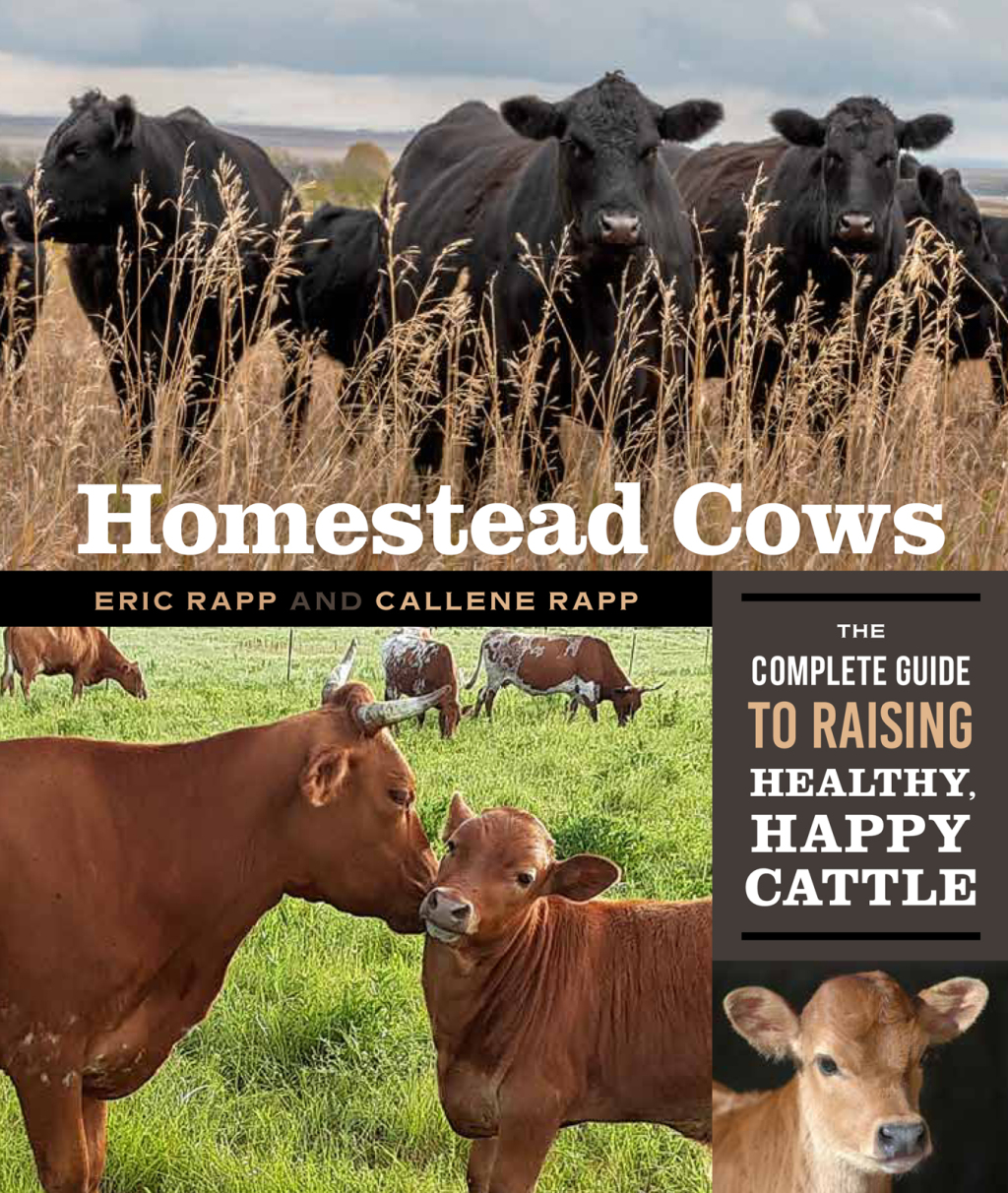 Homestead Cows The Complete Guide to Raising Healthy, Happy Cattle