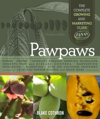 Cover image: Pawpaws 9780865719552