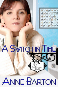 Imagen de portada: A Switch in Time 9780973936339