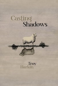 Cover image: Casting Shadows 9781771484824