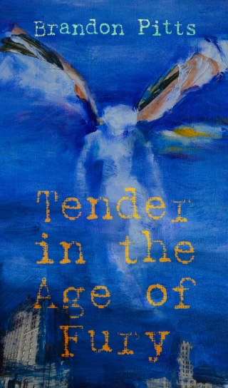 Cover image: Tender in the Age of Fury 9781771611749