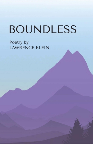 Cover image: Boundless 9781771617772
