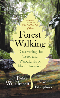 Cover image: Forest Walking 9781771643313